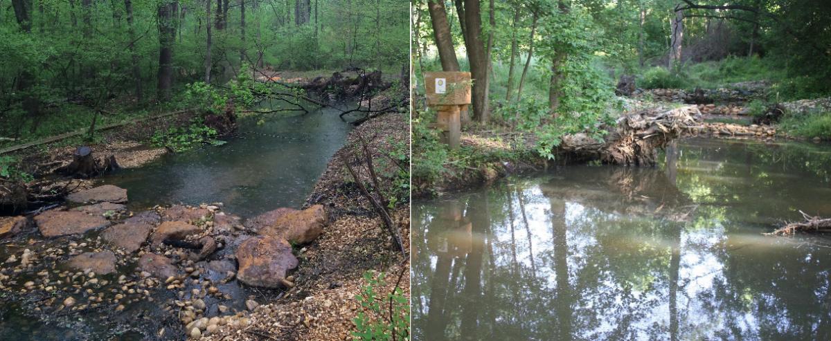 Side-by-side photos of two restored streams