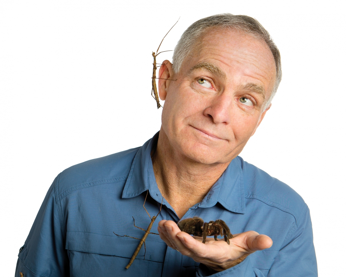 Head and shoulders image of Michael Raupp against a white background, holding a spider in one hand with two twig-like insects on his shirt and his ear