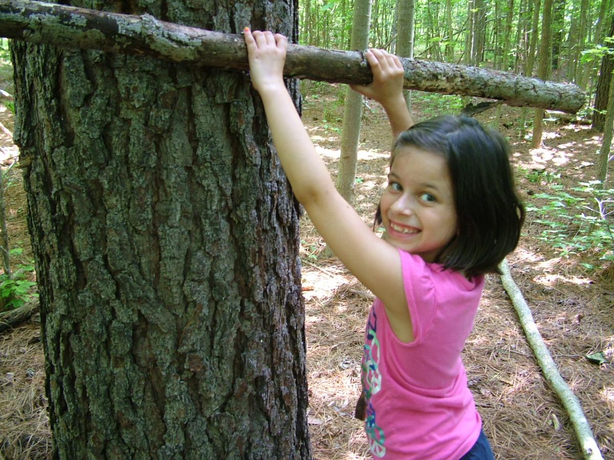 Young girl in a forest, holding a large branch up against a tree