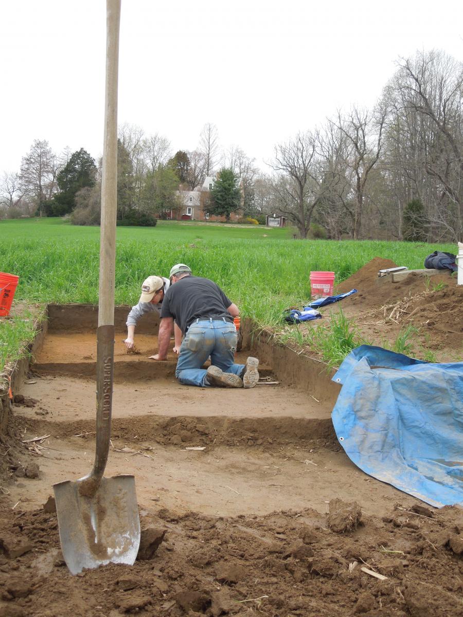 Archaeologists excavating in tiered units up a hill