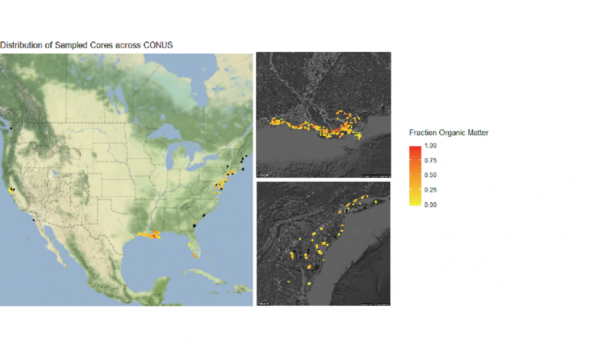 sampled cores mapped across US, Louisiana and the Chesapeake