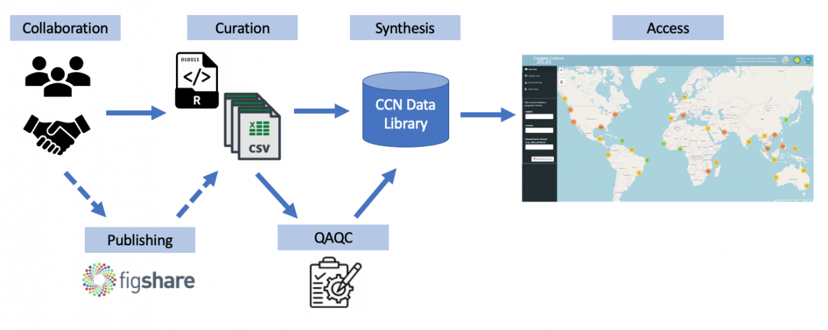 ccn_data_workflow.png