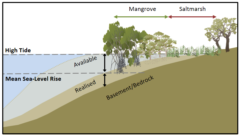 sea-levelrise_infographic.jpg