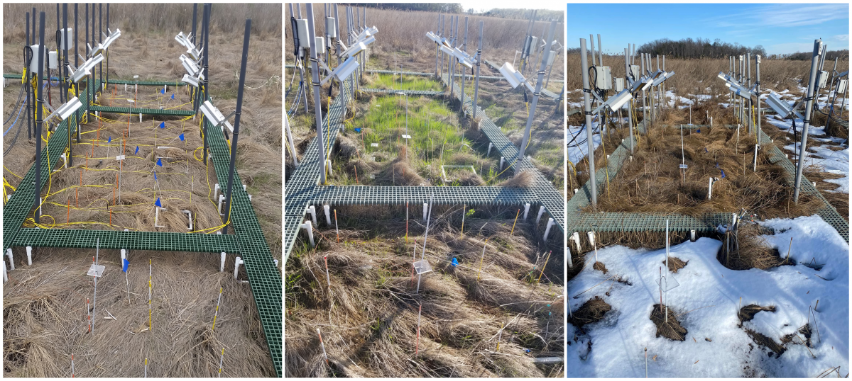 Three images of warming plots: with cables visible, with green plants, and with melted snow.