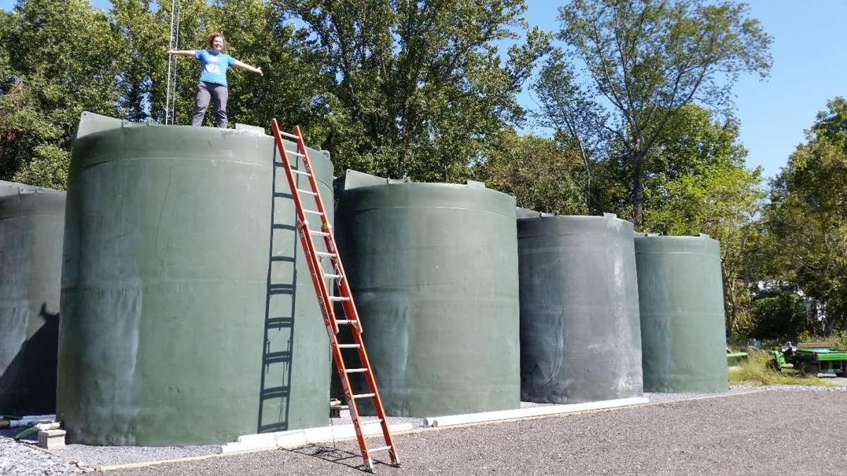 A woman stand on top of large treen tanks, against which is propped an extended orange ladder. 