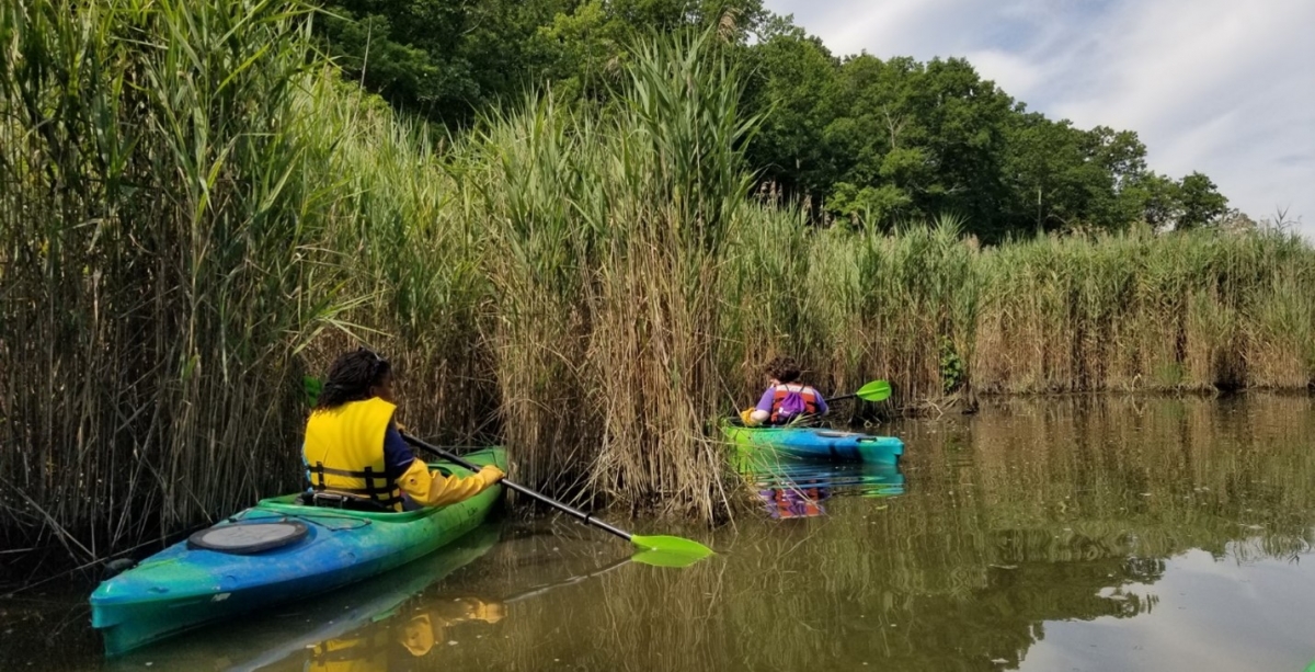 two people in canoes are on calm waters against talk brown and green grasses on a cloudy day.