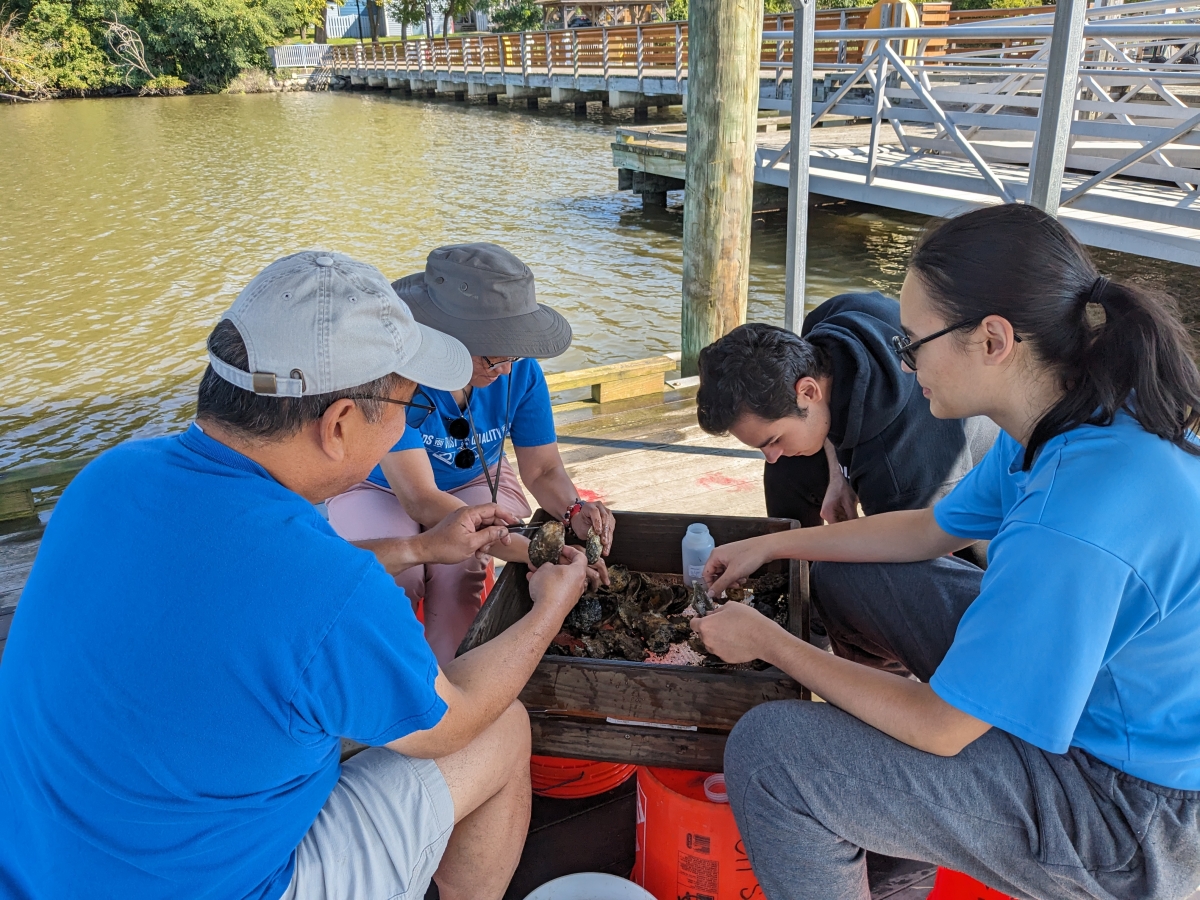 A group of volunteers sit around a screen on which are oyster shells from a mud crab trap. They sit on orange buckets on a boat dock.