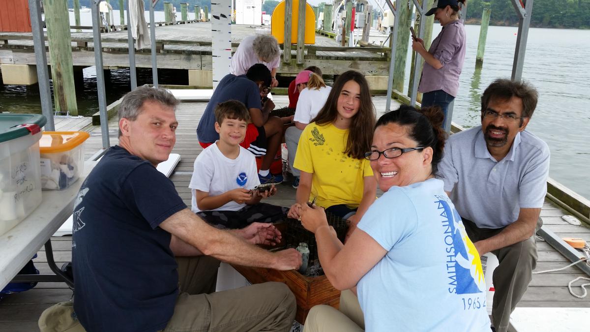 Group sorting mud crabs