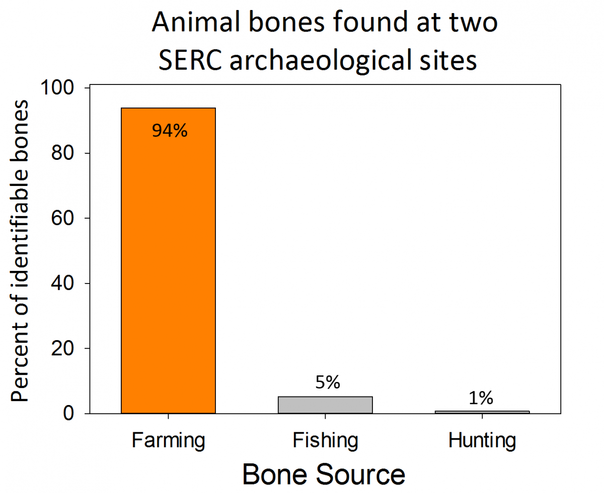 graph of bones