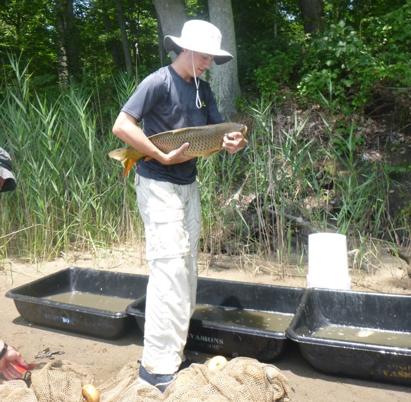 Volunteer holding fish