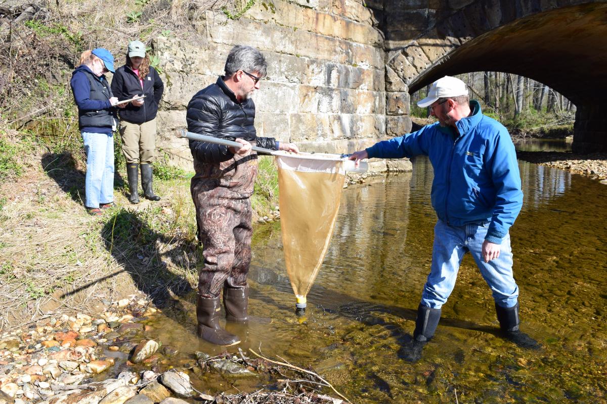 Four scientists sampling a stream