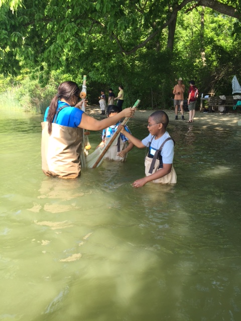 Kids seining at SERC