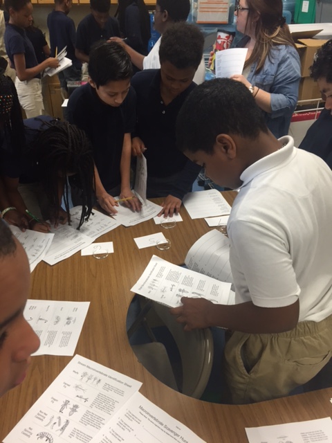 students filling out worksheets