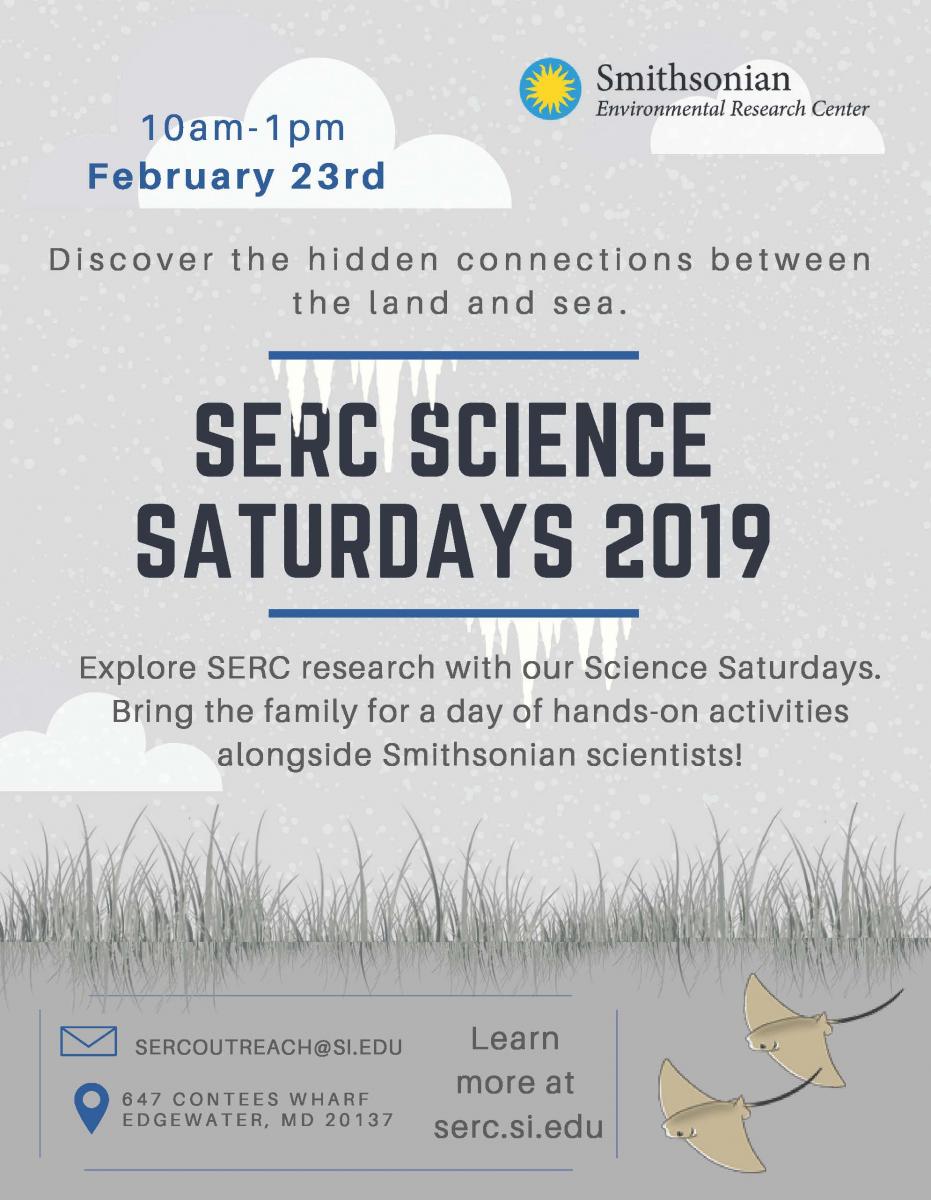 sercsciencesaturday_winter_theme_flyer.jpg