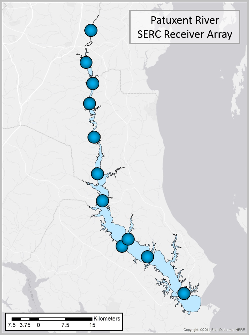 crablab_receiver_array_patuxent_river_receiver_array.png