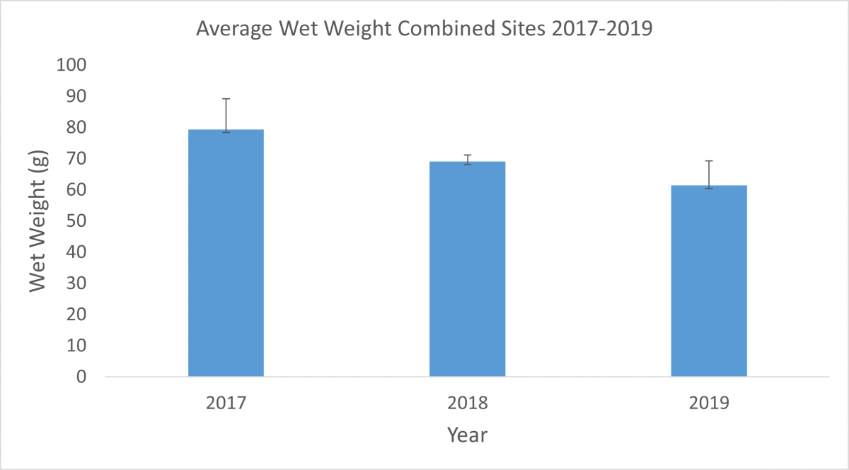 wet_weight.png