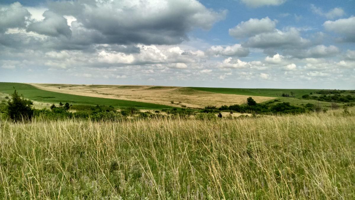 Landscape view of grassland under cloudy sky