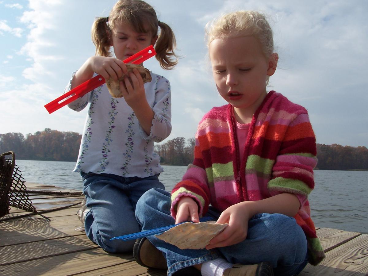 Grades K-2 students learn how to measure oysters