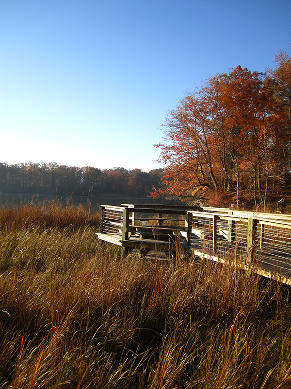 dock