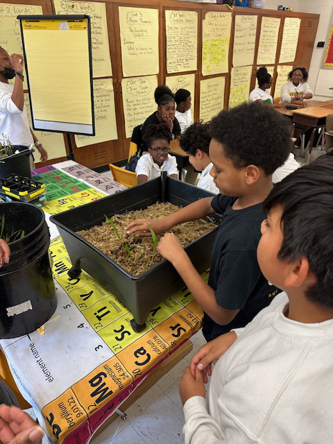 Two students stand by a black, rectangular container of soil with three seedlings. One student has their hands above the soil.