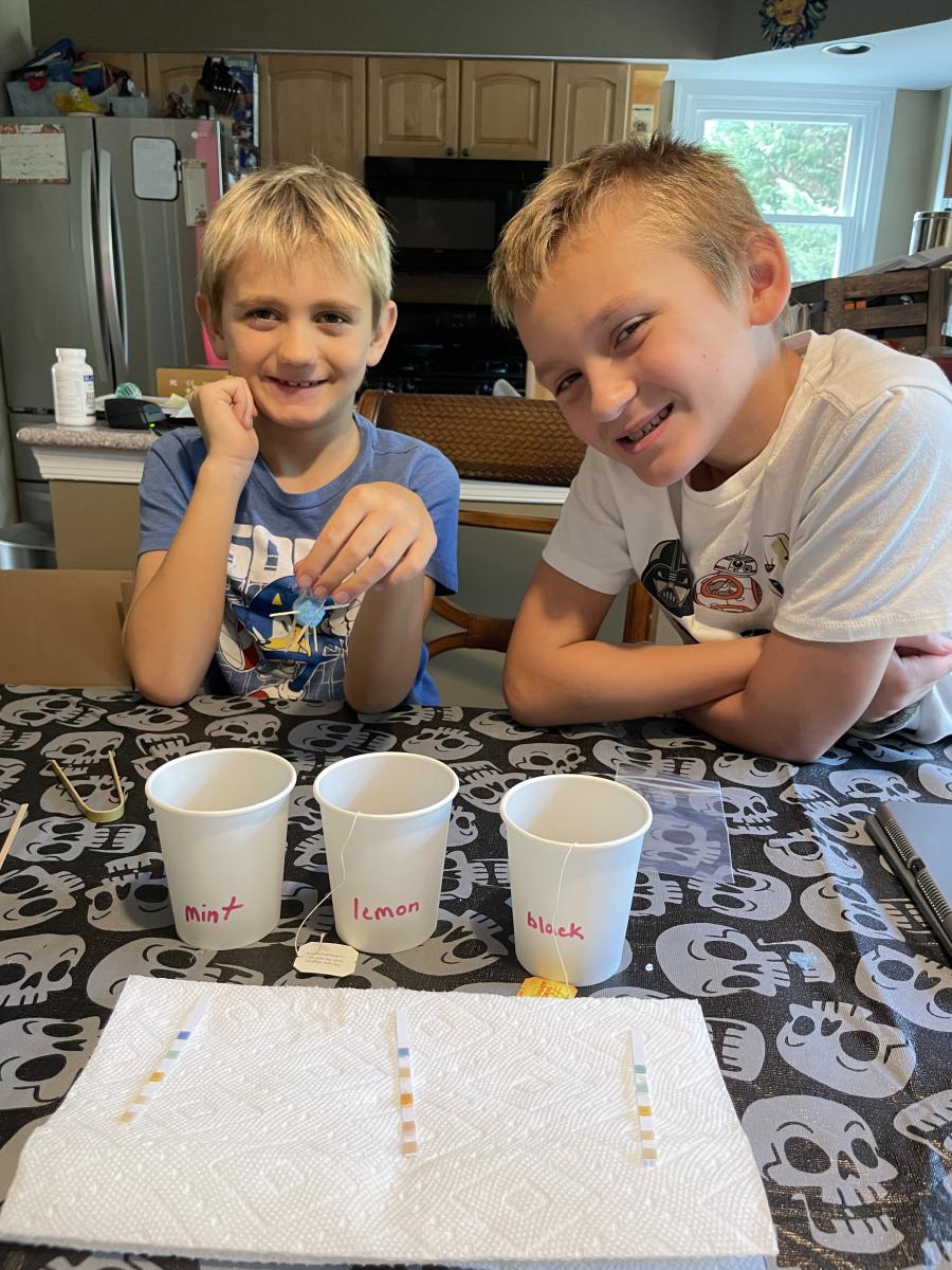 Two boys look up while sitting at a table with three paper cups labeled mint, lemon and black, and three test strips on a paper towel