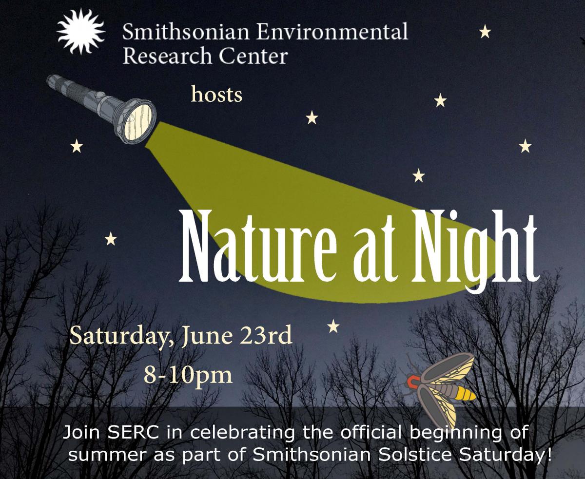 Image of Nature at Night promo flyer