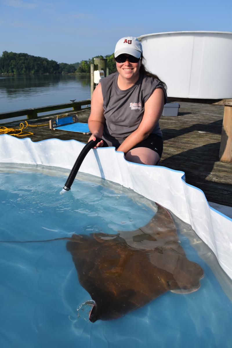 Young woman on a dock, sitting next to a miniature pool with a cownose ray