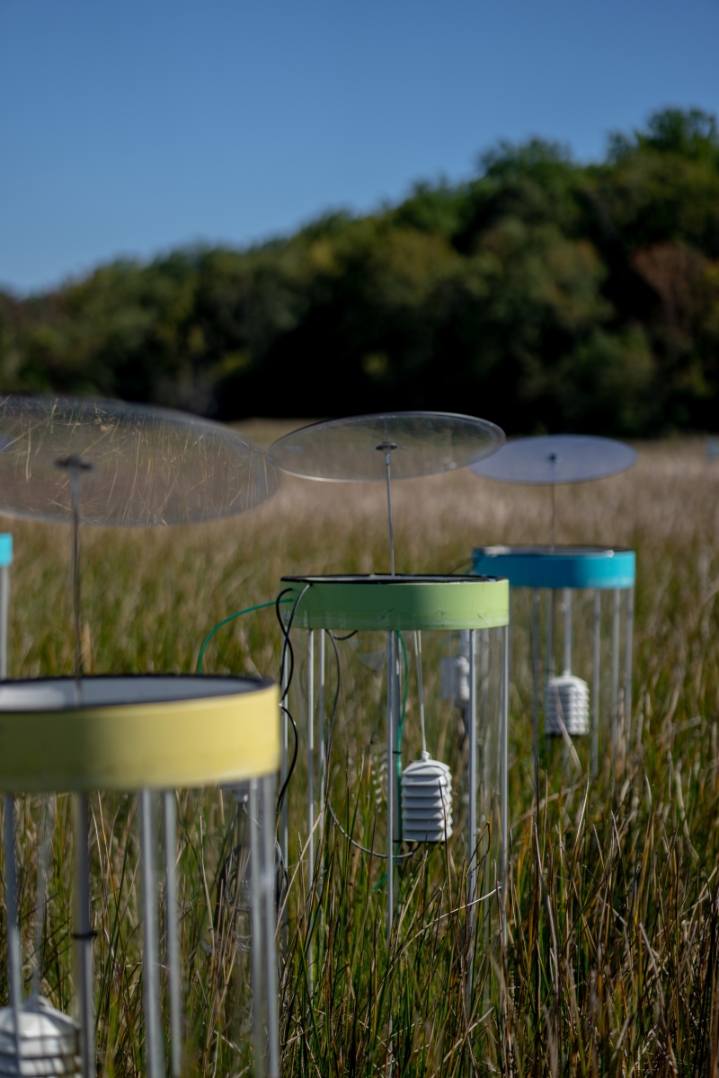 Twelve clear, cylindrical chambers in a wetland, with red, yellow, green or blue rims. A clear disk is propped above each one