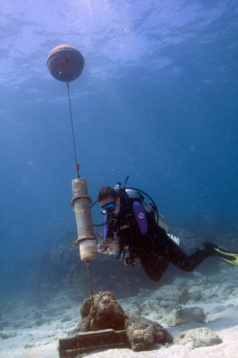 Diver measuring acoustic output from a marine environment