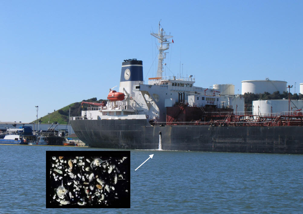 Ship discharging ballast water (pullout slide: microscopic organisms in ballast water)