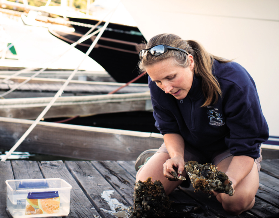 Scientist in a dark blue fleece jacket kneels on a wooden dock, holding a square panel coated in brown, orange and yellow marine life.