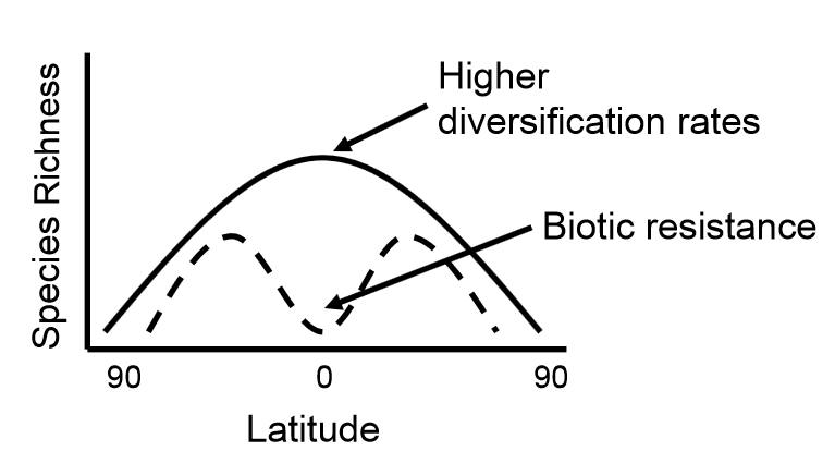 A conceptual model showing biotic resistance across latitude.