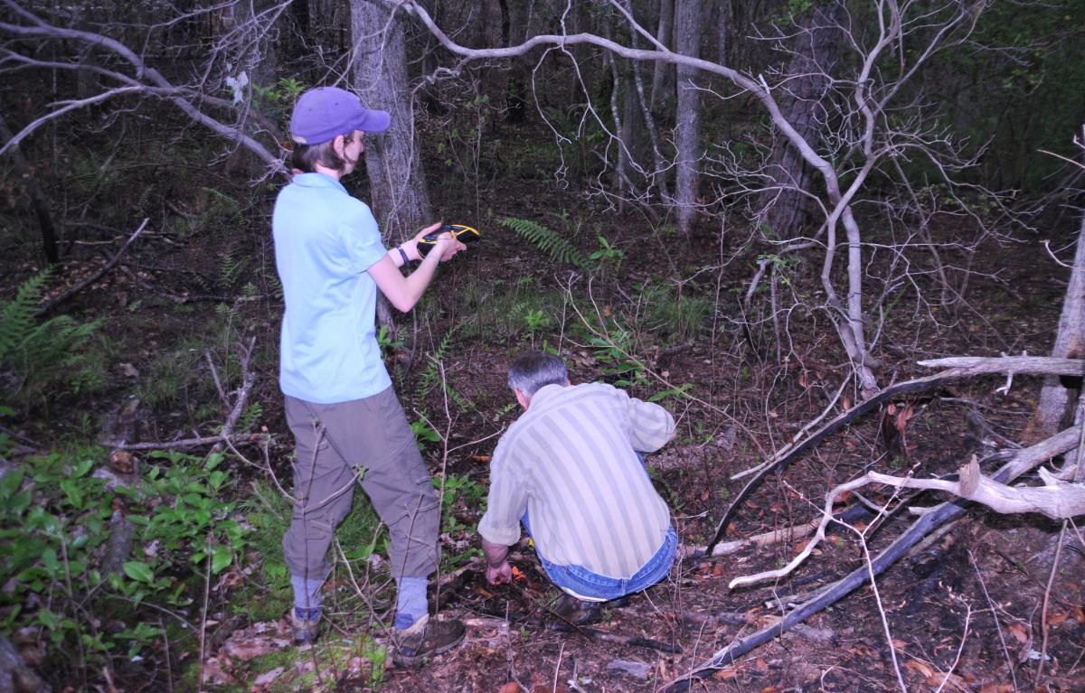 Researchers measuring Helonias in the field