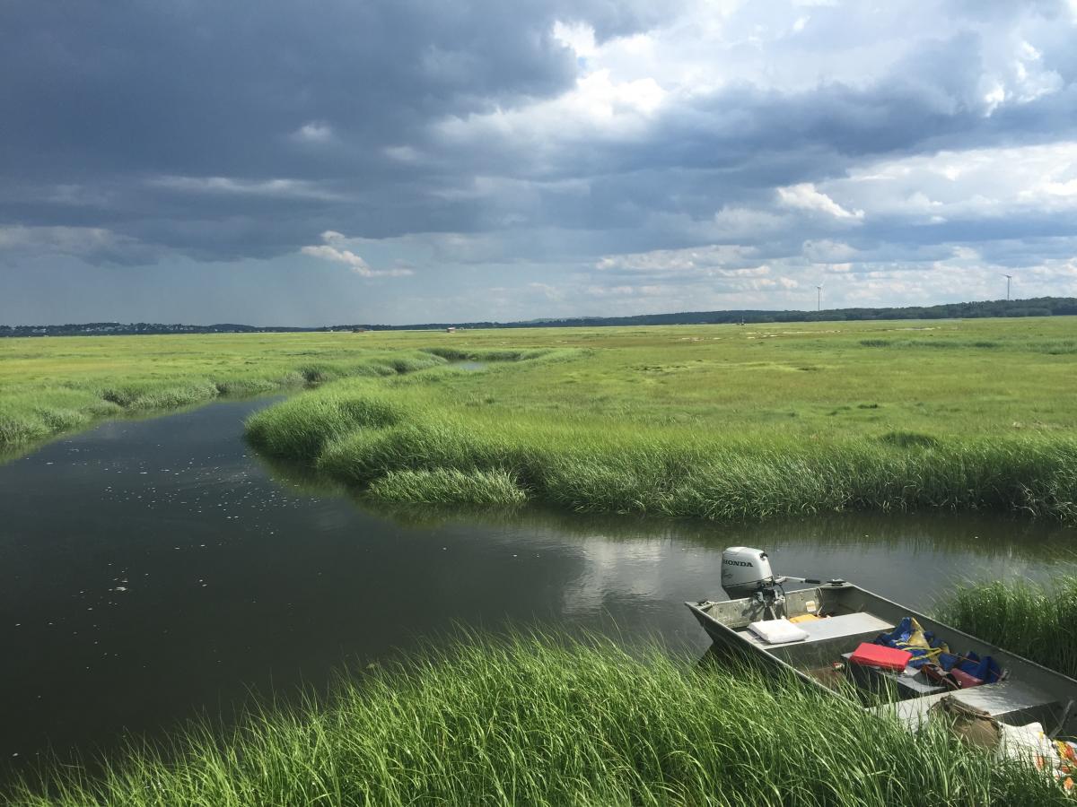 A Spartina marsh and oncoming storm