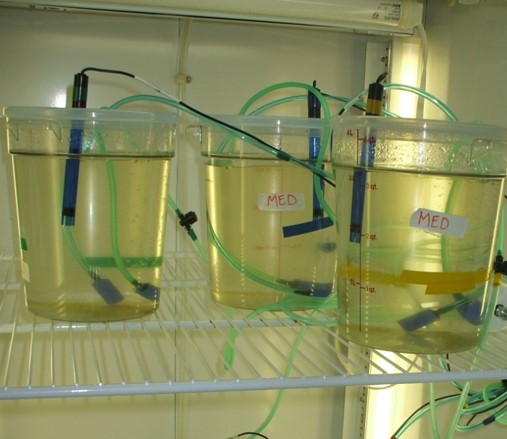 Aquaria with pH probes