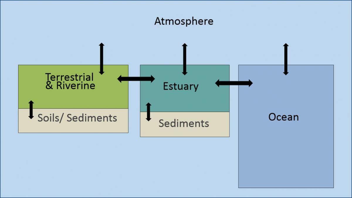 schematic diagram of coastal ocean acidification