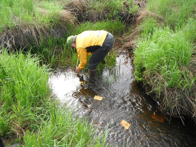 Scientist samples stream in Alaskan wetland