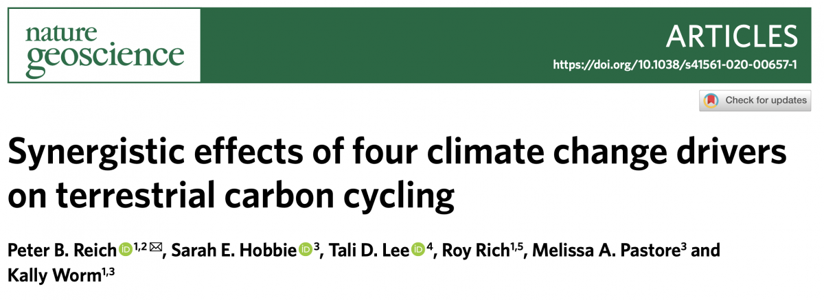 Synergistic effects of four climate change drivers on terrestrial carbon cycling