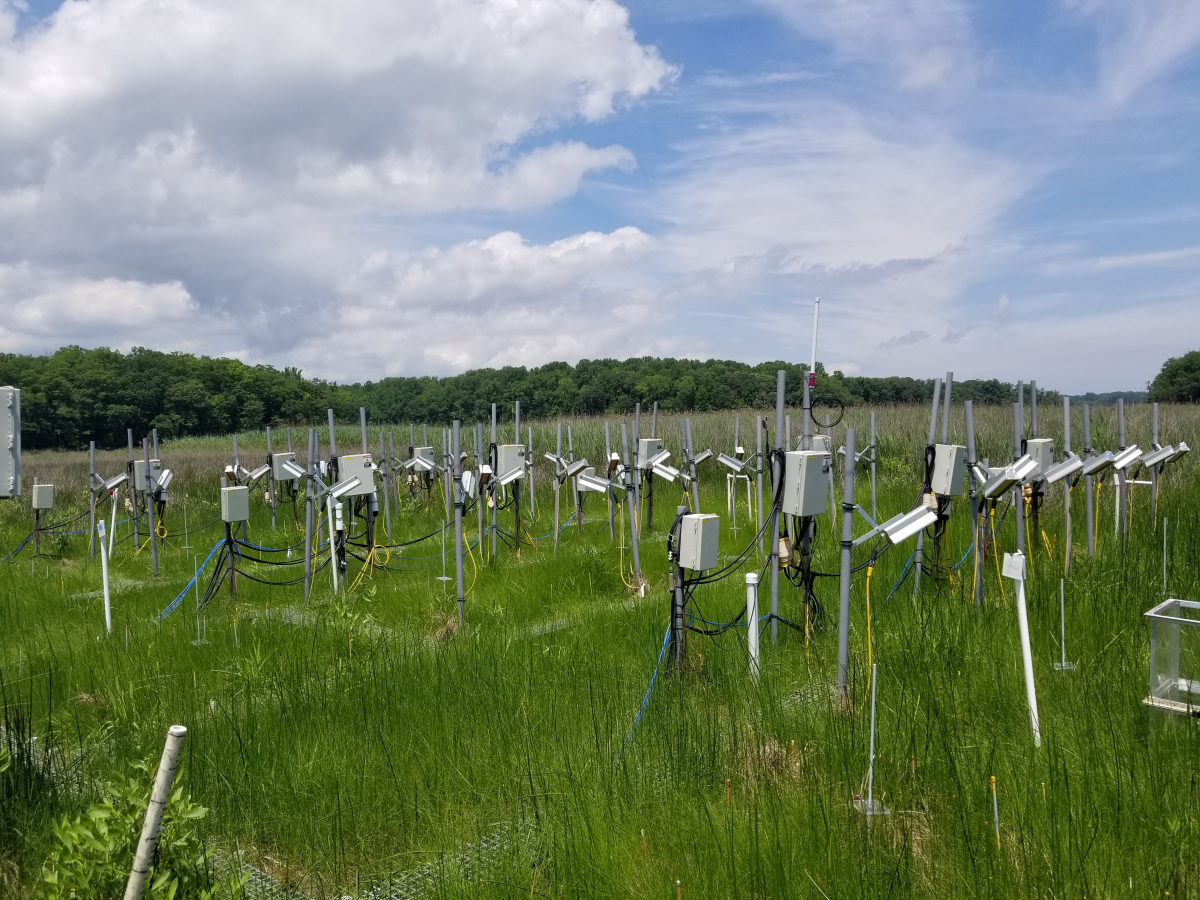 Changes in Ultraviolet Radiation  Smithsonian Environmental Research Center