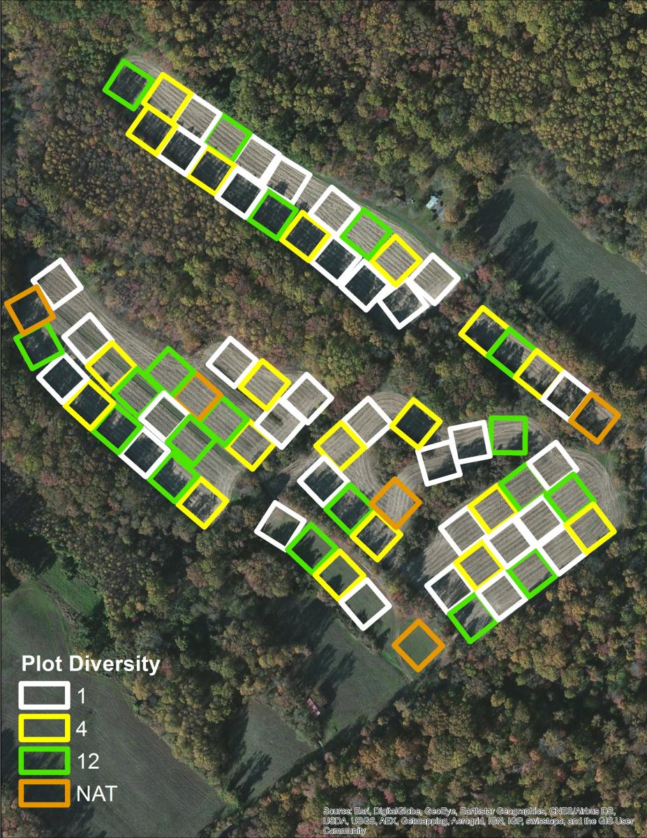 Map of BiodiversiTree plots