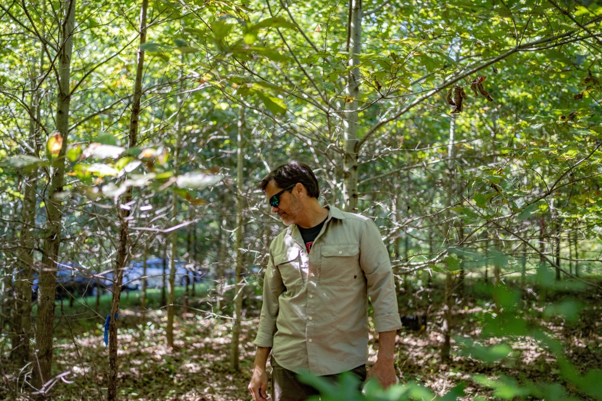 Man wearing a beige shirt and sunglasses walks through a forest of tall, narrow trees