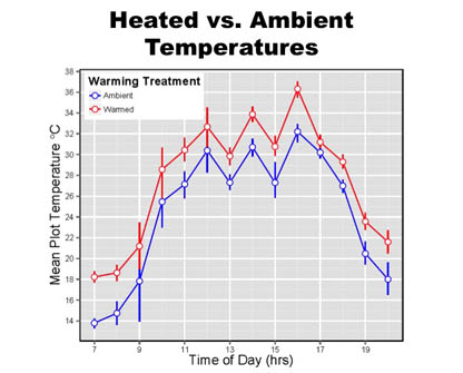 Graph of temperature in plots vs. time of day