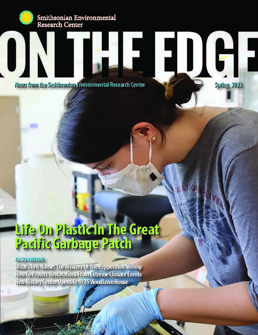 Cover page of On The Edge, Spring 2022 issue. A scientist in a mask with blue gloves leans over a tray