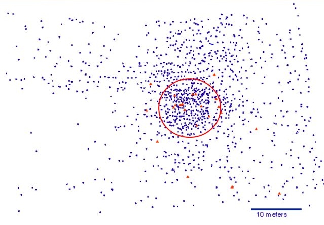 Metal detector map