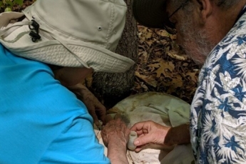 Two people wearing hats look at a small plastic bottle resting on a net on a leaf-covered forest floor.