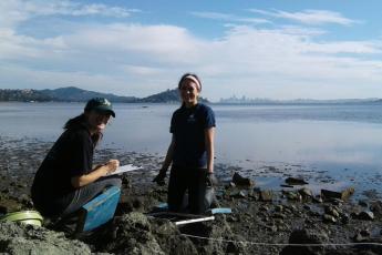 Volunteers removing oyster drills from Richardson Bay