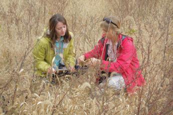 Two women sit on ground examining tree seedlings