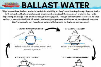 Ballast water infographic