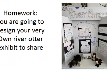 Homework: You are going to design your very own river otter exhibit to share