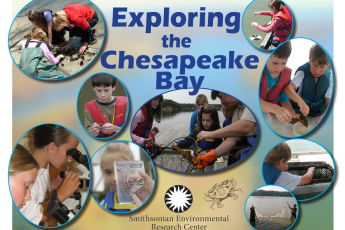 9 photos of kids participating in science activities are arranged around the title text that says Exploring the Chesapeake Bay